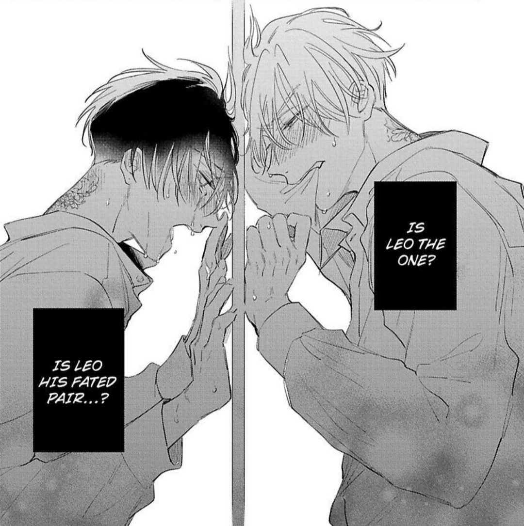 OMEGAVERSE BL VyManga