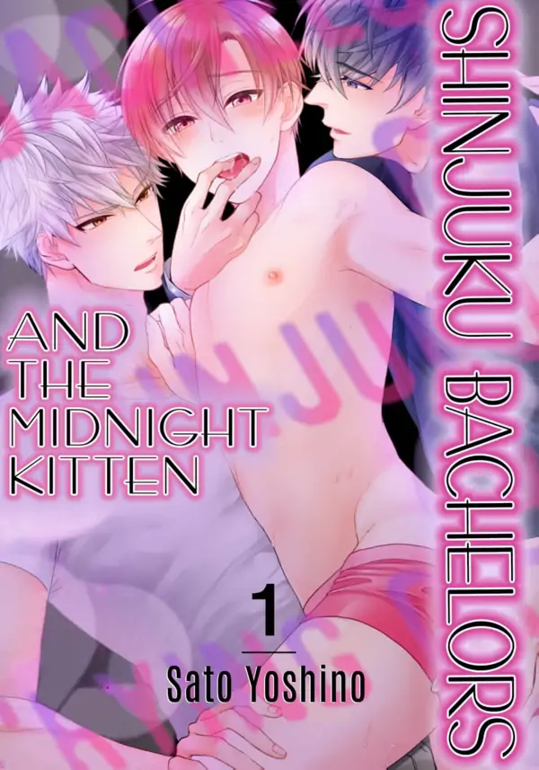 Shinjuku Bachelor to Yonaki Neko Shinjuku Bachelor to Yonaki Neko