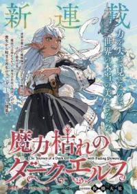 The Journey of a Dark Elf with Fading Powers