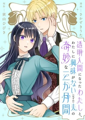 Three Strange Months as an Invisible Wife