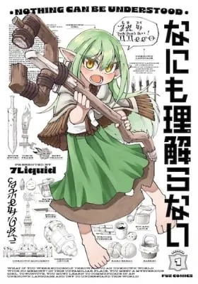 Nothing Can be Understood