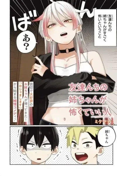 Tomodachi Nchi no Neechan ga Kowakute Ii Hito