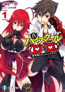 Shin High School DxD