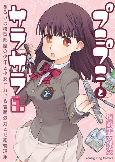 Punipuni to Sarasara: Aruiwa Mokeibeya no Shounen to Shoujo ni Okeru Hyoumen Chouryoku to Mousaikan Genshou