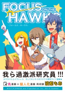 Hatoful Kareshi dj - Focus on the Hawks