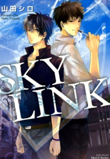 Sky Link