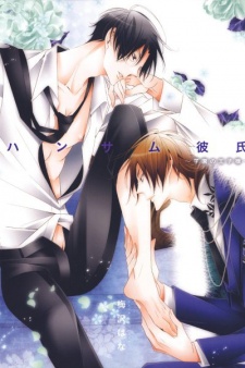 Handsome Kareshi: Gakuen no Ouji-sama