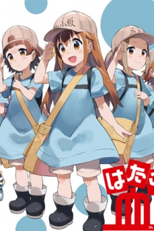 Platelets at Work