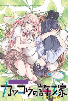 A Couple of Cuckoos Vol 11 Manga Comic Kakkou no Iinazuke Japanese Book