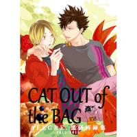 Haikyuu!! - CAT OUT of the BAG