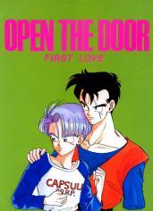 Dragon Ball Z dj - Open the Door - First Love