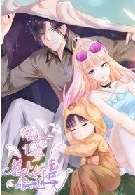 Full Marks Hidden Marriage: Pick Up a Son, Get a Free Husband (another version)