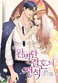 Perfect Marriage Revenge