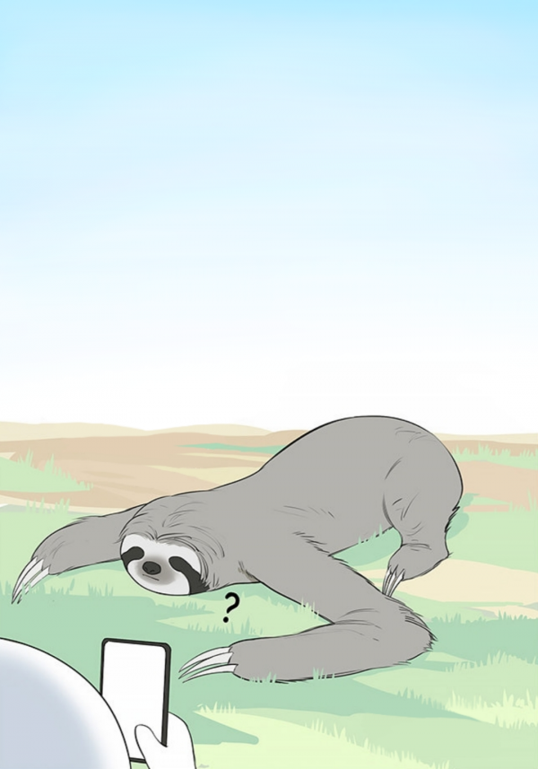 Water Monkey Water Monkey