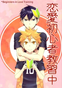 Beginners in Love Training – Haikyuu!! dj