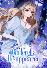 Cinderella Disappeared