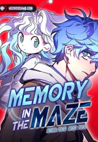 Memory in The Maze