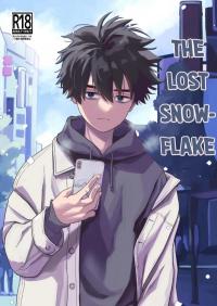 The lost snowflake